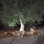 דירה Baciati Dal Sole