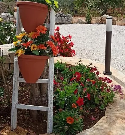 Baciati Dal Sole