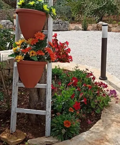 Baciati Dal Sole