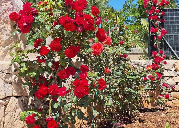 Апартаменты Baciati Dal Sole Мартина-Франка