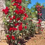 Apartmán Baciati Dal Sole Martina Franca