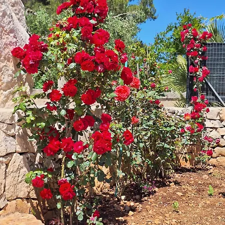 Apartmán Baciati Dal Sole Martina Franca
